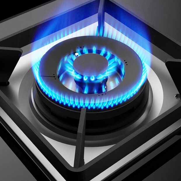 Газовая плита Robam Boss Fierce Energy-Saving Gas Stove 56B0 (Black/Черный) - 2
